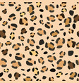 seamless leopard pattern for web design vector image