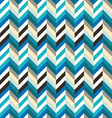spunky herringbone vector image