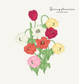 hand drawn bouquet of red pink yellow white vector image