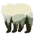 bear forest vector image vector image