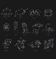 horoscope all zodiac animals in constellation vector image