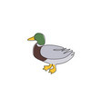 single continuous line drawing of cute mallard vector image vector image