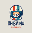 shiba inu helmet retro dog moto rider cartoon vector image vector image