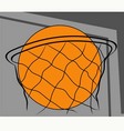 sports vector image