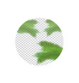 palm leaf on transparent vector image