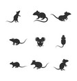 rat cute icon design vector image