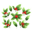 christmas holly branches realistic vector image