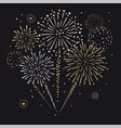 fireworks sign icon vector image vector image