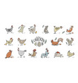 funny chicken and rooster characters icons vector image vector image