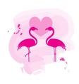 two flamingos in love vector image