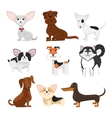dog breeds cartoon set vector image