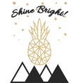 glitter shimmery pineapple print with shine bright vector image vector image