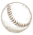 engraving of baseball ball vector image