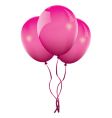 pink balloons vector image