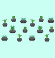 seamless pattern with cactuses vector image