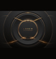 black and gold circle lines background vector image