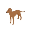 ridgeback dog icon isometric 3d style vector image vector image