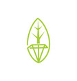 leaf logo design template isolated vector image