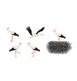 stork vector image vector image