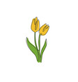 one single line drawing of beauty fresh tulip vector image vector image