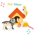 bright images of domestic animals parrot dog vector image