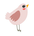 bird small avian animal with feathers plumage vector image vector image