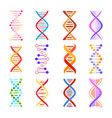 dna helix icons genetic medicine signs set vector image