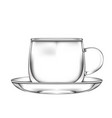 clear glass mug or cup vector image