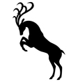 reared deer vector image