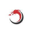 dragon logo template vector image