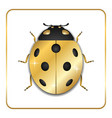 ladybug gold insect small icon golden metal lady vector image