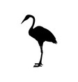 hand drawn white crane bird standing vector image vector image