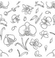 lisianthus flowers and leaves vector image