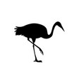 hand drawn white crane bird takes off vector image vector image