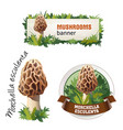 set of mushroom banner badge sticker vector image vector image