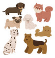 set cute dogs isolated on white background vector image