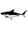 shark symbol on white vector image