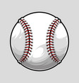 baseball ball isolated on grey background vector image vector image