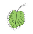 one line drawing monstera leaf minimal art leaves vector image