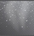 snow transparent realistic background vector image