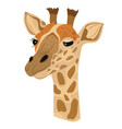 Cute Giraffe head cartoon Royalty Free Vector Image