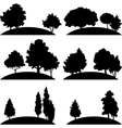 set of different landscapes with trees vector image vector image