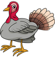 turkey farm bird cartoon vector image