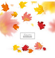 autumn background with red and yellow maple leaves vector image