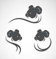 image of an koala bear design vector image vector image