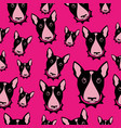 happy dog bull terrier black and white vector image vector image