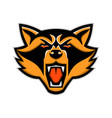 angry raccoon head mascot vector image
