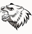 bear head vector image