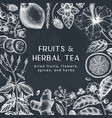 hand sketched herbal tea ingredients design vector image vector image