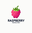 a raspberry in modern style vector image